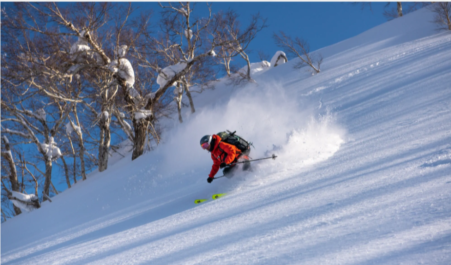 この画像には alt 属性が指定されていません